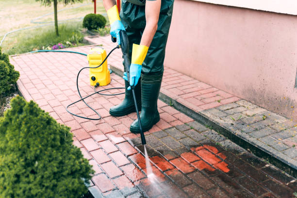 Animal Enclosure Cleaning in Grand Forks, ND